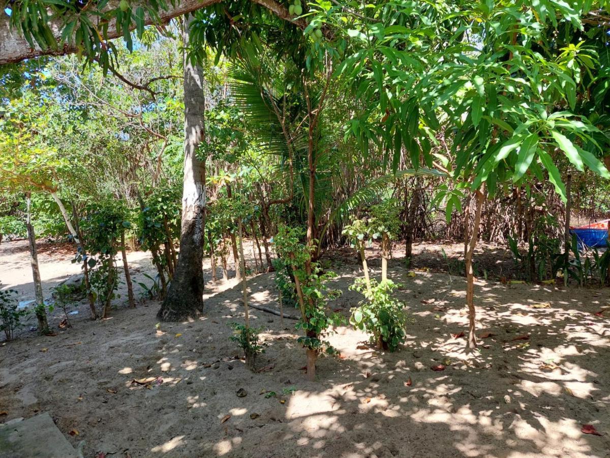 Cabana Playa Cambiaso Bed and Breakfast Puerto Plata Buitenkant foto