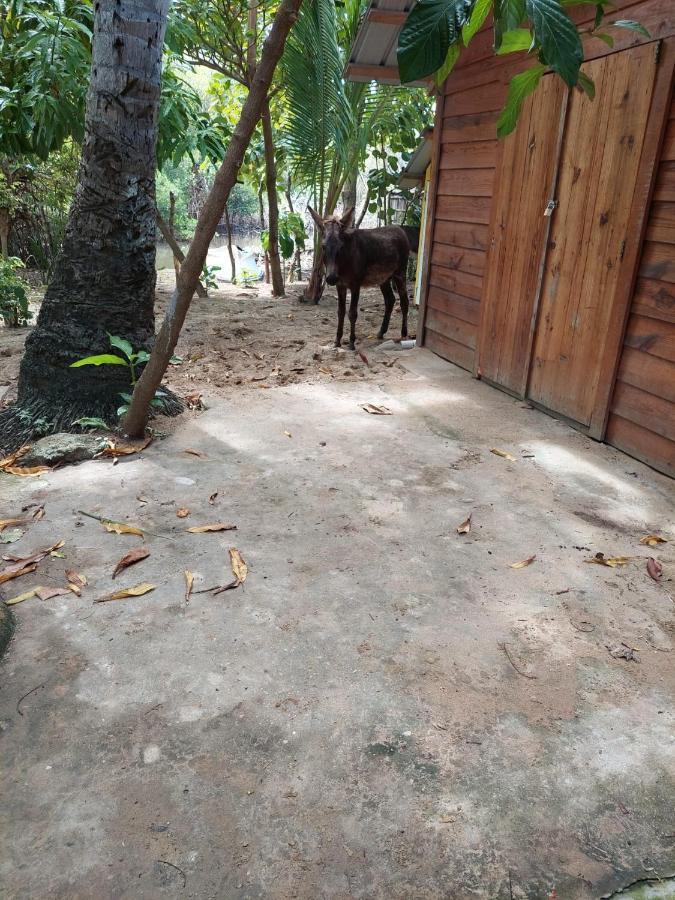 Cabana Playa Cambiaso Bed and Breakfast Puerto Plata Buitenkant foto
